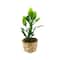 Mini Potted Plant by Make Market®